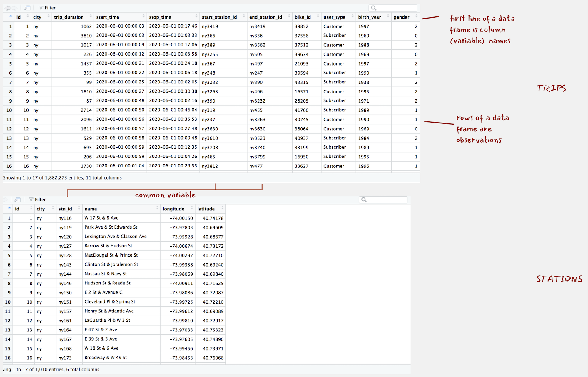 `ny_trips` and `ny_stations` as they appear when calling `View()`.
