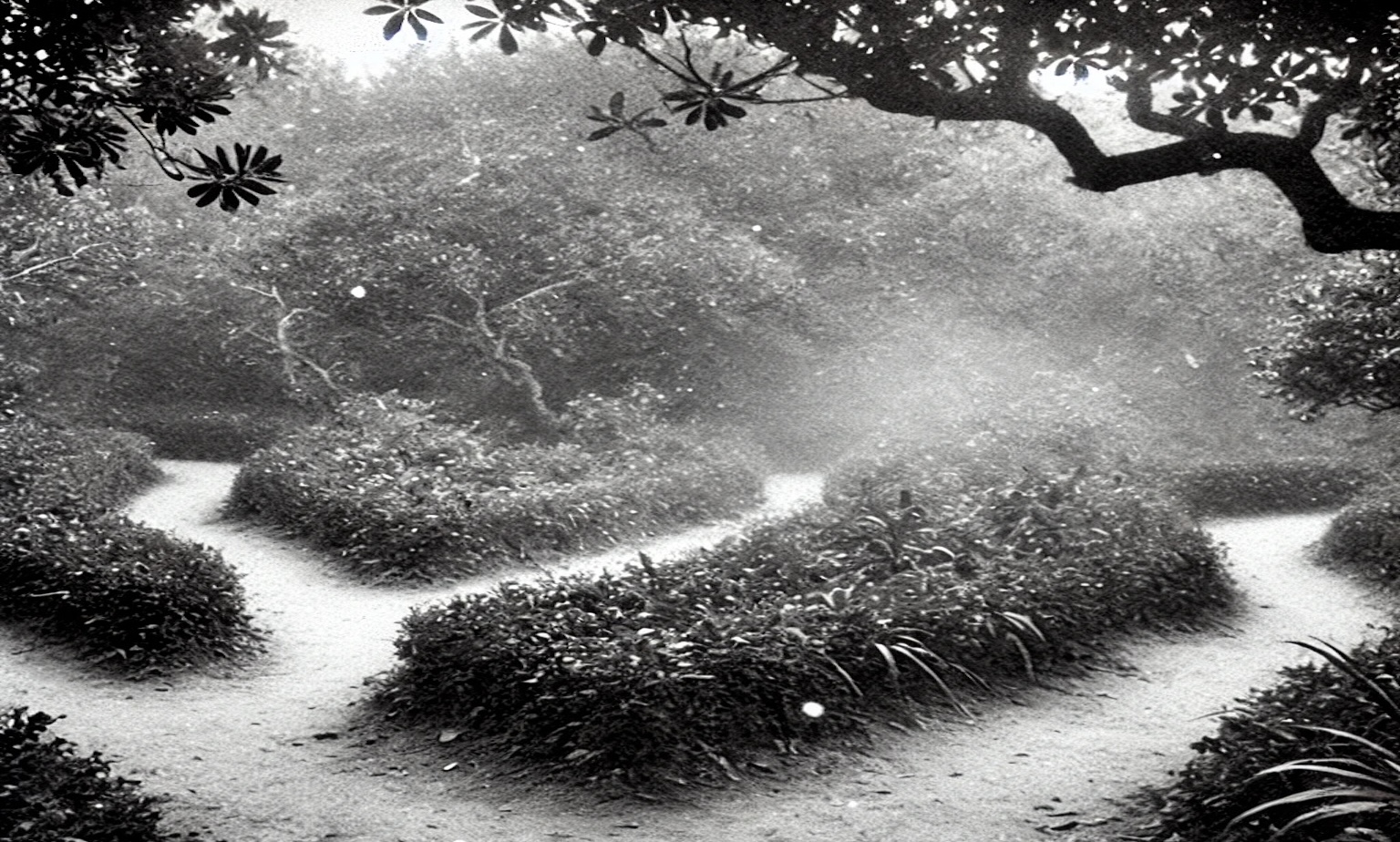 Navigating the garden of forking paths